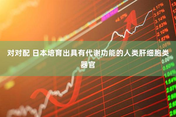 对对配 日本培育出具有代谢功能的人类肝细胞类器官