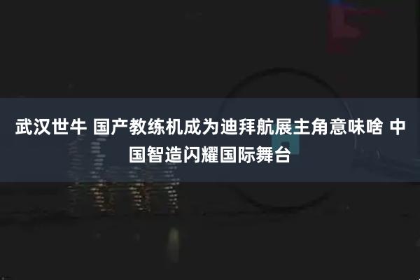 武汉世牛 国产教练机成为迪拜航展主角意味啥 中国智造闪耀国际舞台