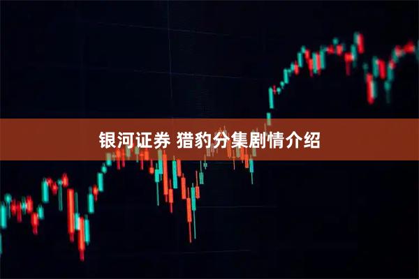 银河证券 猎豹分集剧情介绍