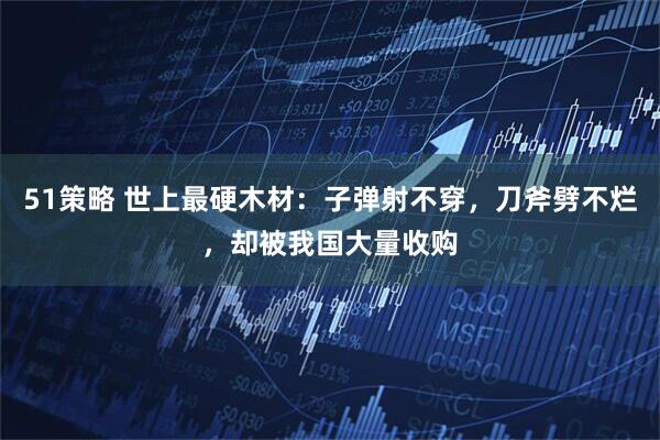51策略 世上最硬木材：子弹射不穿，刀斧劈不烂，却被我国大量收购