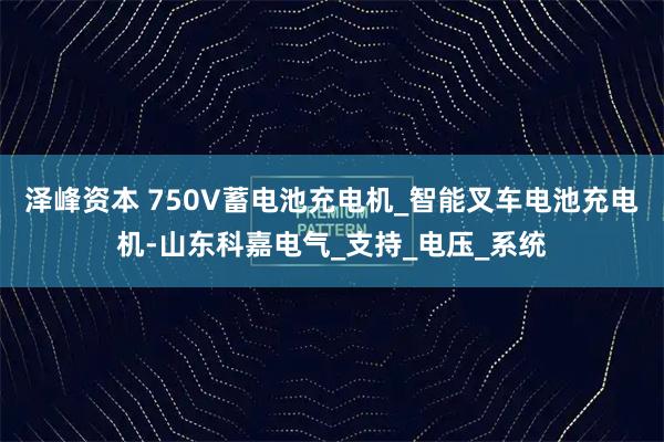 泽峰资本 750V蓄电池充电机_智能叉车电池充电机-山东科嘉电气_支持_电压_系统